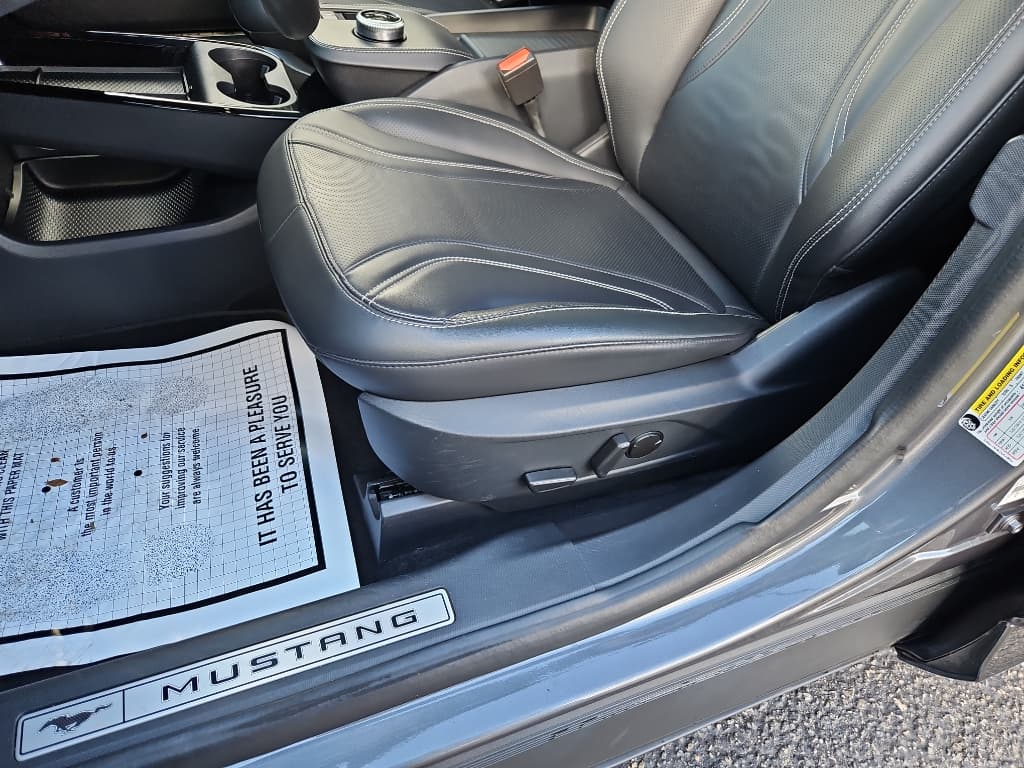 2021 Ford Mustang Mach-E view 7