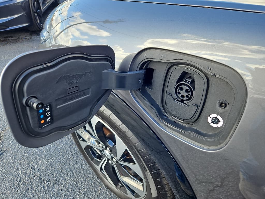 2021 Ford Mustang Mach-E view 5