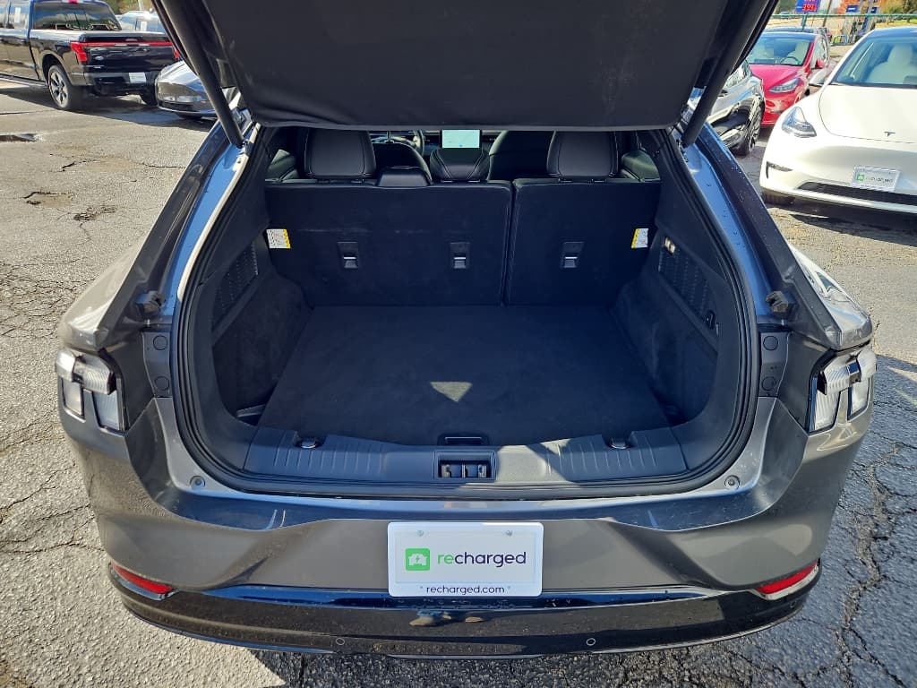 2021 Ford Mustang Mach-E view 24