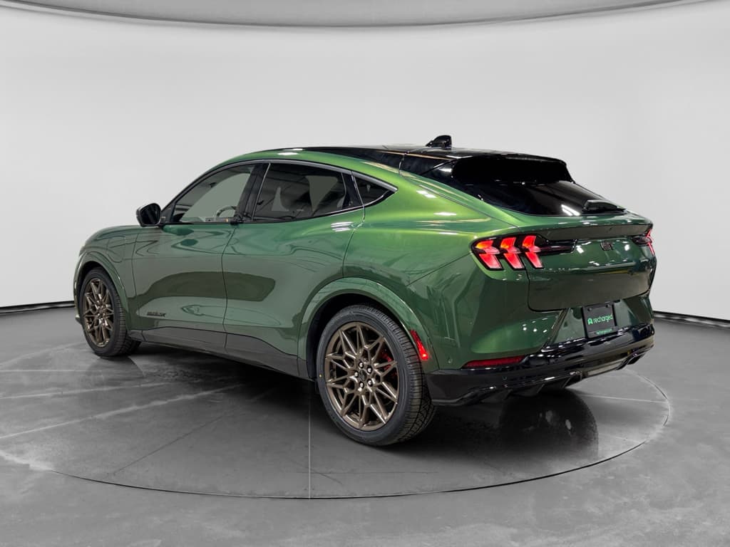 2024 Ford Mustang Mach-E view 2