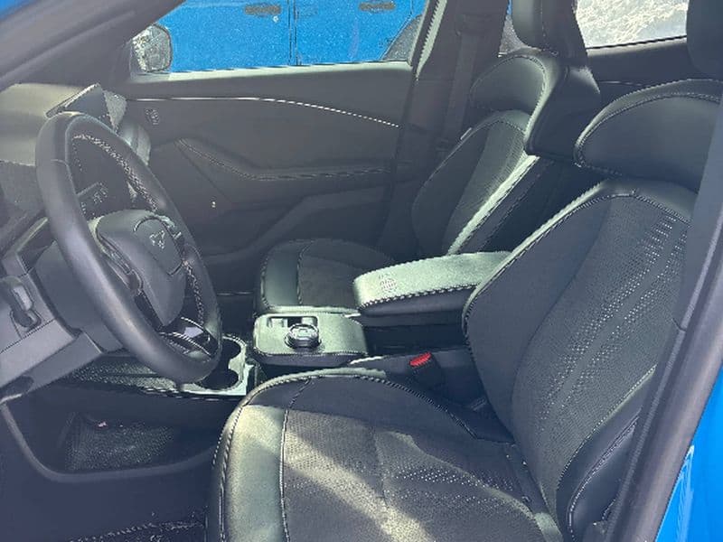 2022 Ford Mustang Mach-E view 5