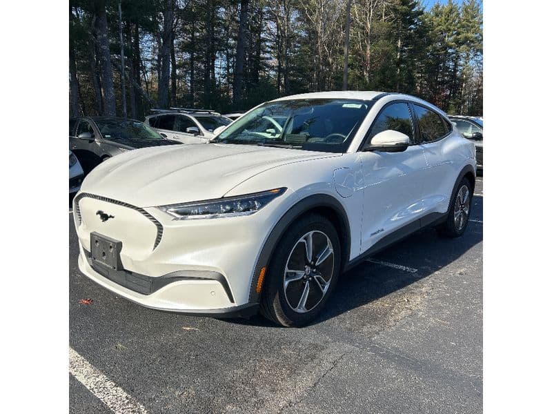 2022 Ford Mustang Mach-E view 1
