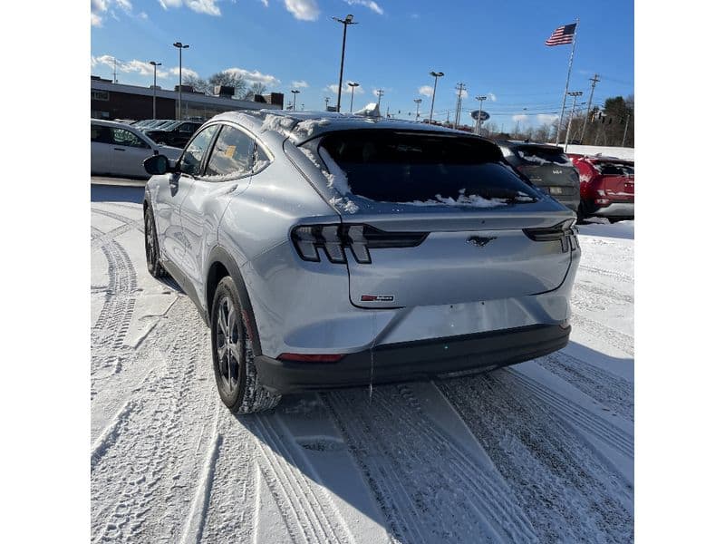 2022 Ford Mustang Mach-E view 2