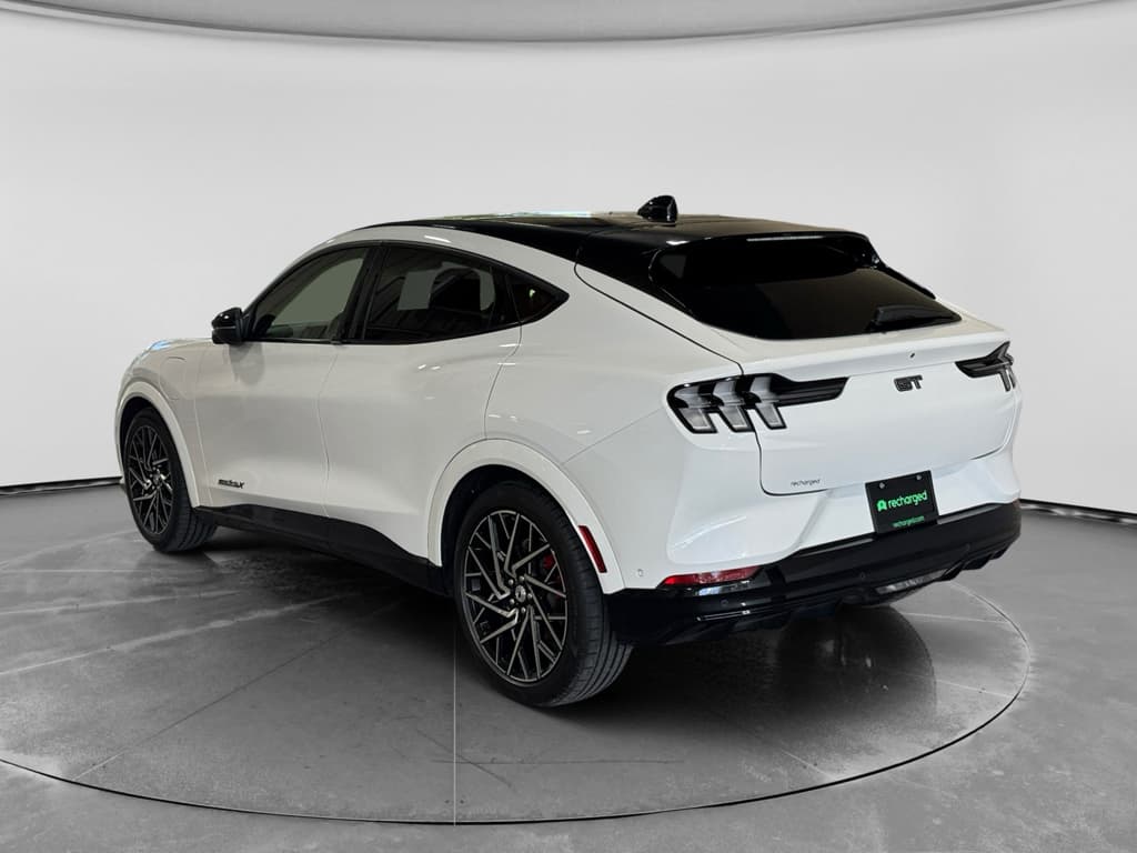 2023 Ford Mustang Mach-E view 2