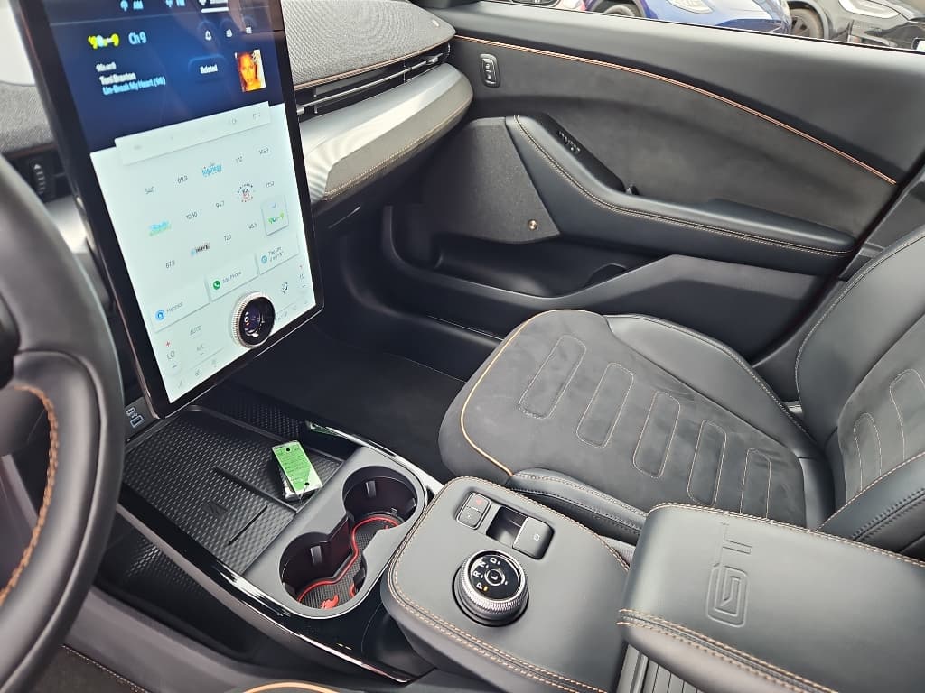 2022 Ford Mustang Mach-E view 17