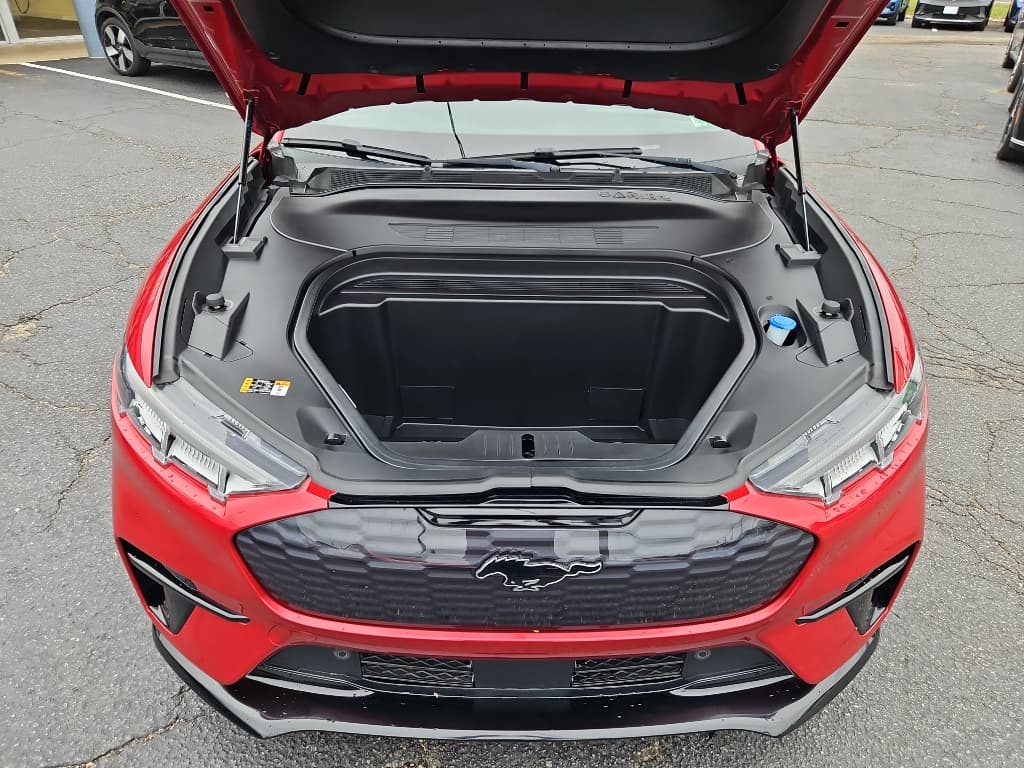 2022 Ford Mustang Mach-E view 24