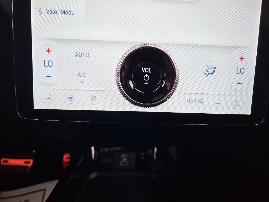 2022 Ford Mustang Mach-E view 14