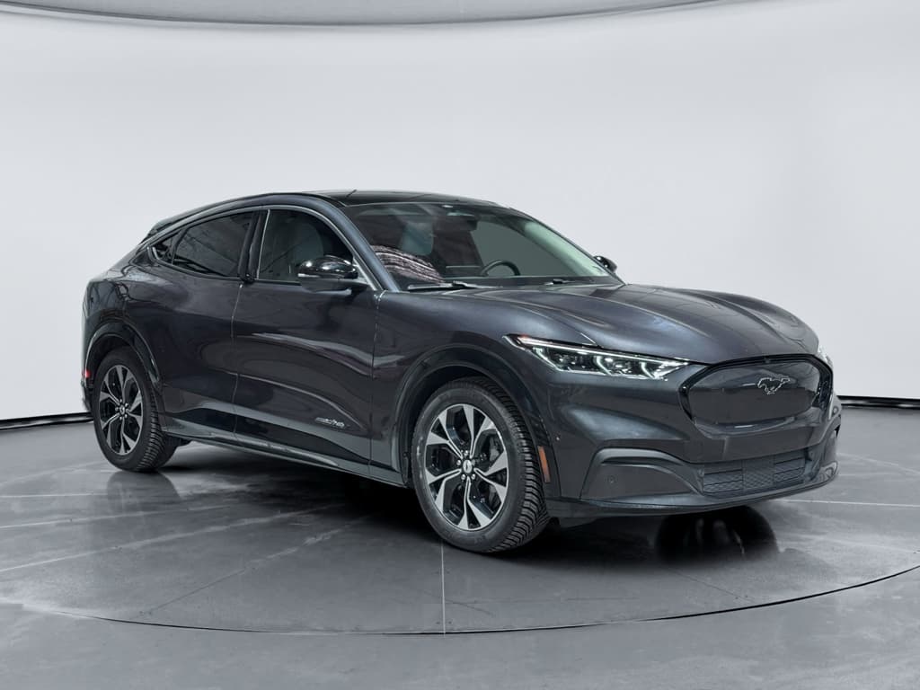 2022 Ford Mustang Mach-E view 4