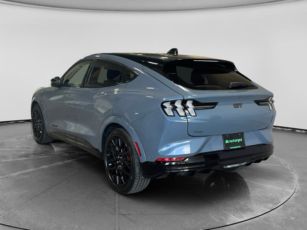 2023 Ford Mustang Mach-E view 2