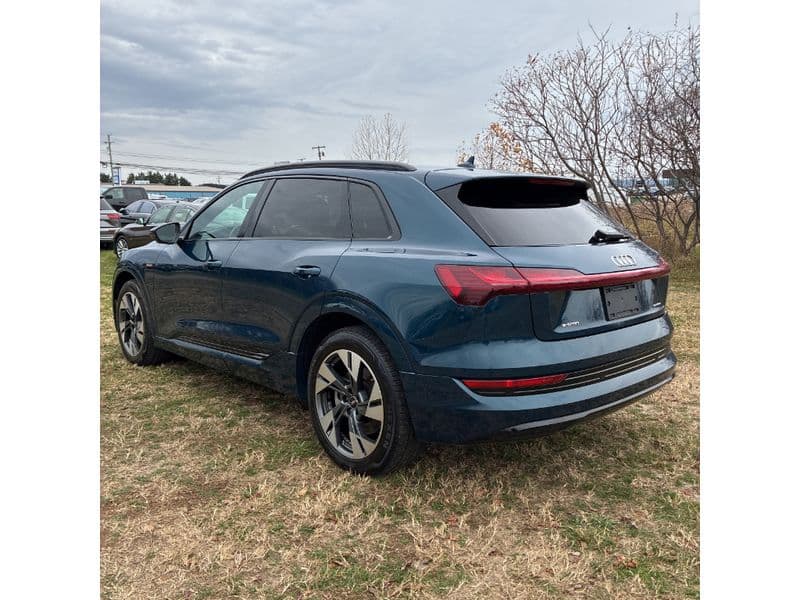 2022 Audi e-tron view 2