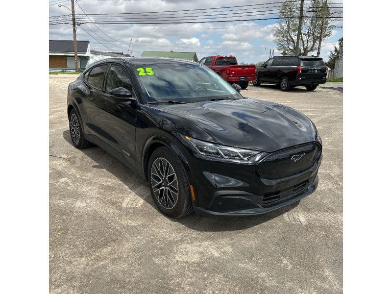 2025 Ford Mustang Mach-E view 2