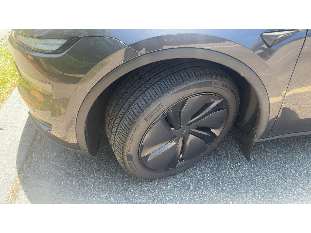 2026 Tesla Model Y view 5
