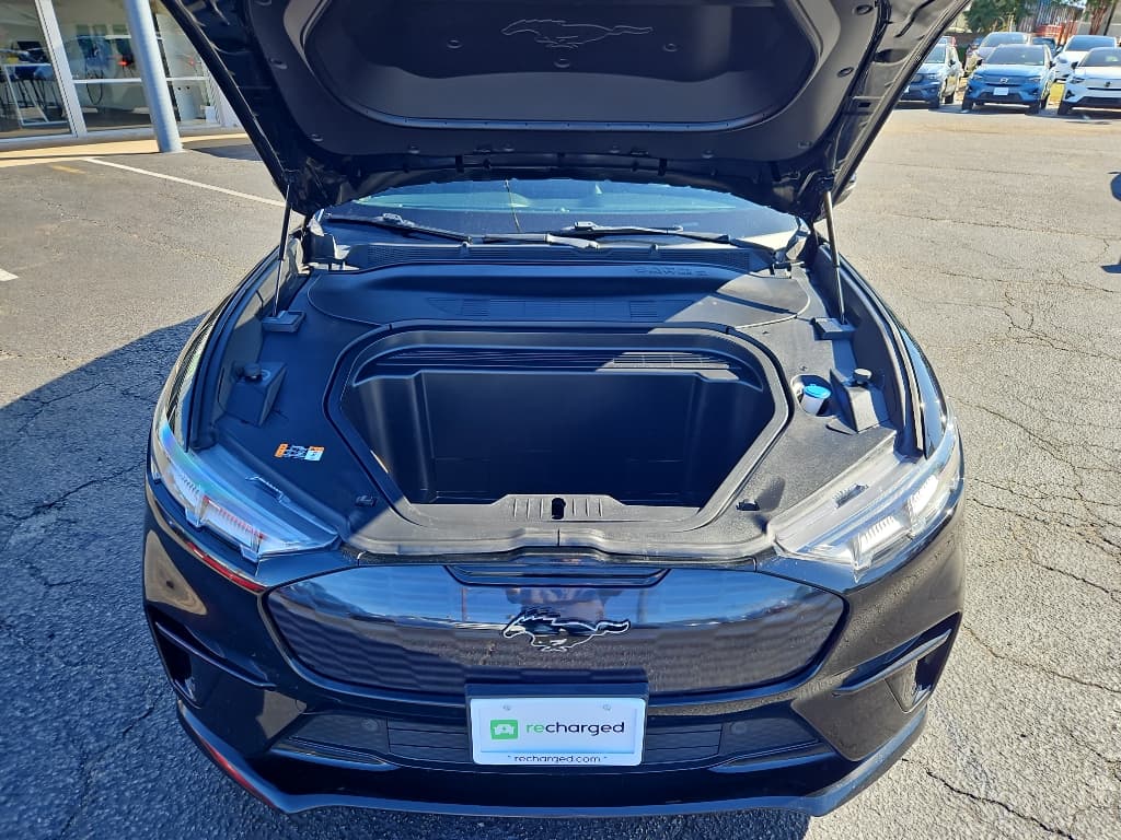 2021 Ford Mustang Mach-E view 24