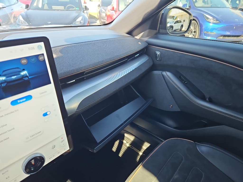 2021 Ford Mustang Mach-E view 19