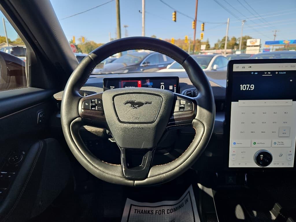 2021 Ford Mustang Mach-E view 8