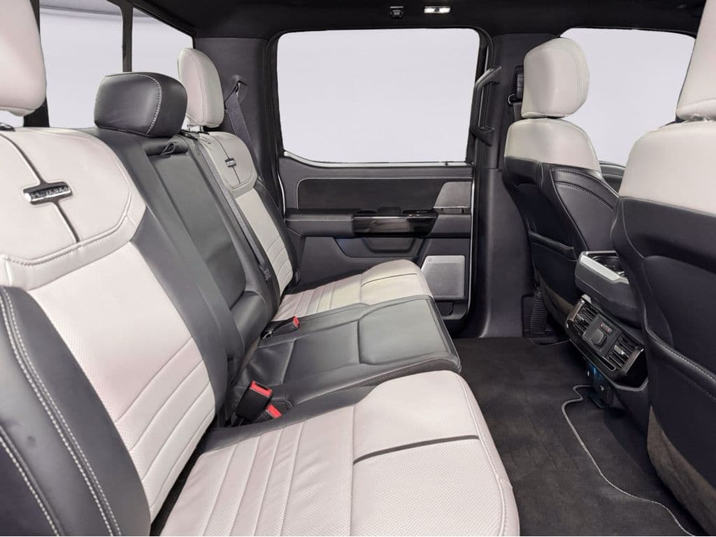 2023 Ford F-150 Lightning view 22