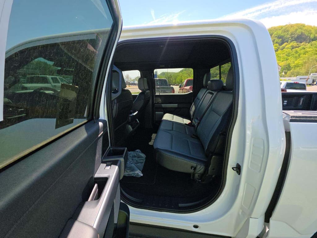 2025 Ford F-150 Lightning view 6