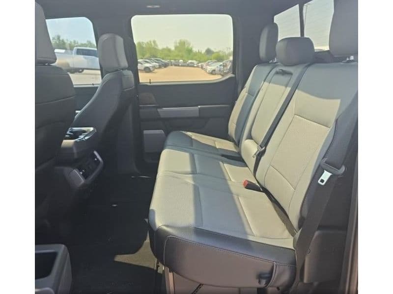 2023 Ford F-150 Lightning view 6