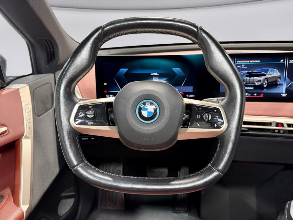 2023 BMW iX view 8