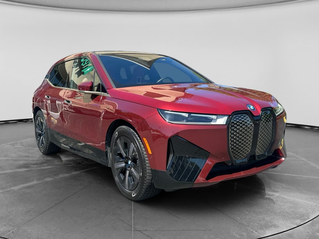 2024 BMW iX view 4