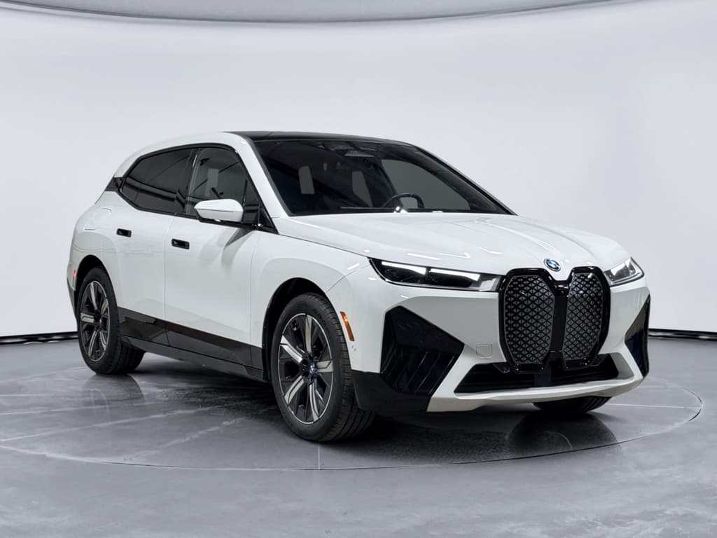 2025 BMW iX view 4